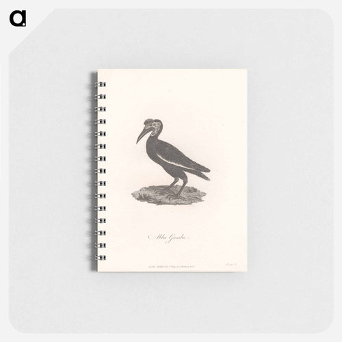 Abba Gumba
 - ジェームス ヒース Memo.