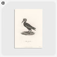 1-55_James-Heath_postcard