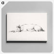 アートパネル-Lying pig drawing in high resolution by Jean Bernard - ジャン ベルナール Canvas.