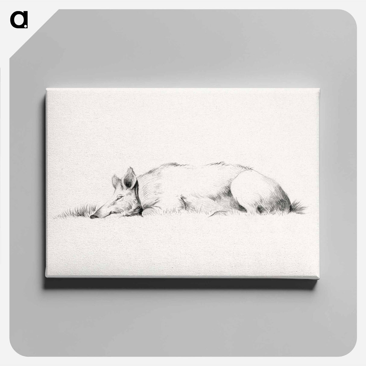 アートパネル-Lying pig drawing in high resolution by Jean Bernard - ジャン ベルナール Canvas.