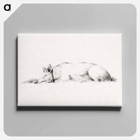 アートパネル-Lying pig drawing in high resolution by Jean Bernard - ジャン ベルナール Canvas.