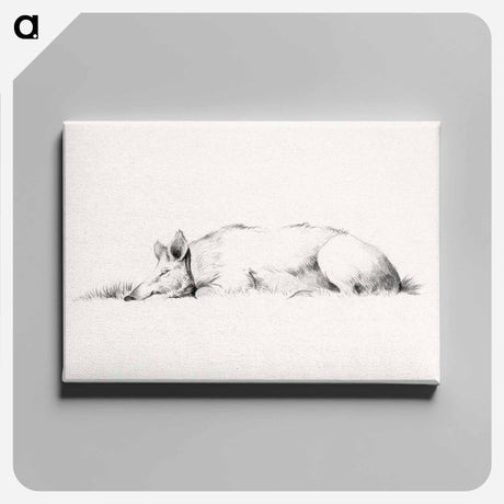 アートパネル-Lying pig drawing in high resolution by Jean Bernard - ジャン ベルナール Canvas.
