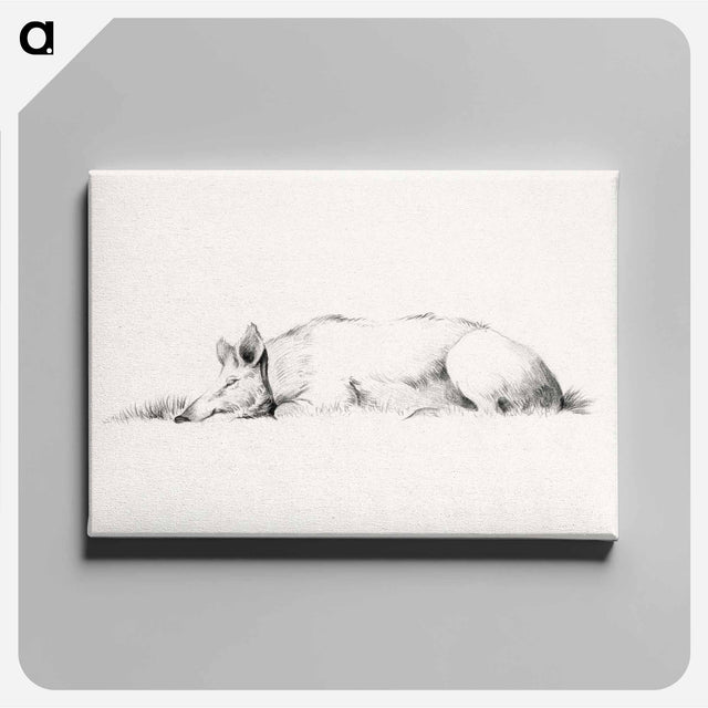 アートパネル-Lying pig drawing in high resolution by Jean Bernard - ジャン ベルナール Canvas.