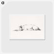 アートポストカード-Lying pig drawing in high resolution by Jean Bernard - ジャン ベルナール Postcard.