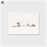 アートポストカード-Lying pig drawing in high resolution by Jean Bernard - ジャン ベルナール Postcard.