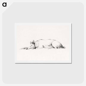 アートポストカード-Lying pig drawing in high resolution by Jean Bernard - ジャン ベルナール Postcard.