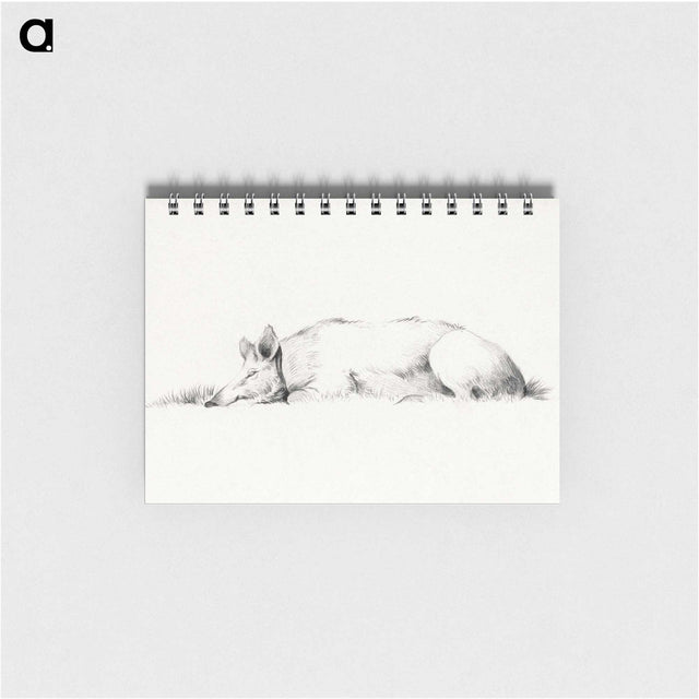 1-55_Jean-Bernard_memo