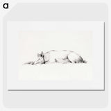 1-55_Jean-Bernard_picture