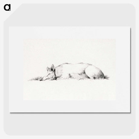 1-55_Jean-Bernard_picture