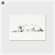 1-55_Jean-Bernard_postcard