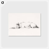 アートポストカード-Lying pig drawing in high resolution by Jean Bernard - ジャン ベルナール Postcard.