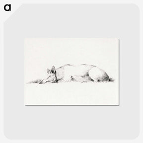 1-55_Jean-Bernard_postcard