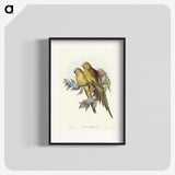 1-55_John-Gould_blk