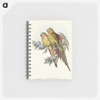 1-55_John-Gould_memo