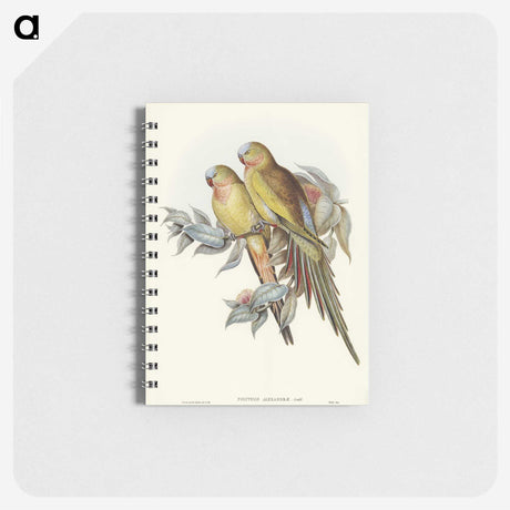 1-55_John-Gould_memo