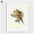 1-55_John-Gould_picture
