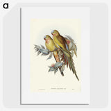 1-55_John-Gould_picture