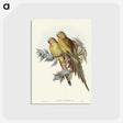 1-55_John-Gould_postcard