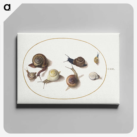 1-55_Joris-Hoefnagel_canvas
