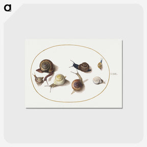 1-55_Joris-Hoefnagel_postcard