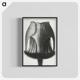 1-55_Karl-Blossfeldt_blk-crop