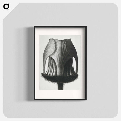 アートポスター-Geum Rivale - カール ブロスフェルト Poster.