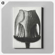 1-55_Karl-Blossfeldt_canvas