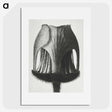 1-55_Karl-Blossfeldt_picture