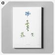 1-55_La-Botanique_canvas