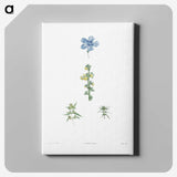 1-55_La-Botanique_canvas