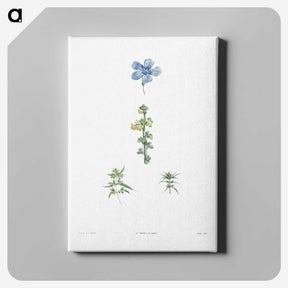 1-55_La-Botanique_canvas