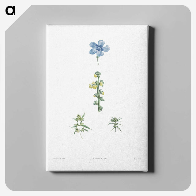 1-55_La-Botanique_canvas