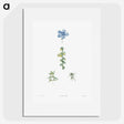 1-55_La-Botanique_picture