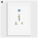 1-55_La-Botanique_picture