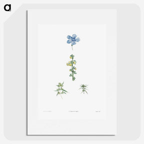 1-55_La-Botanique_picture