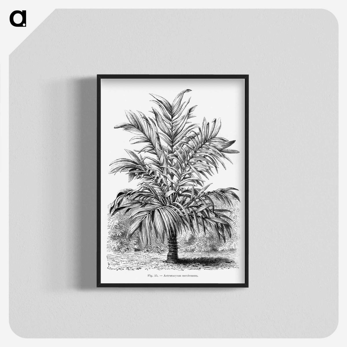 1-55_Les-Palmiers-Histoire-Iconographique_blk-crop
