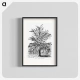 1-55_Les-Palmiers-Histoire-Iconographique_blk