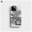 1-55_Les-Palmiers-Histoire-Iconographique_phone