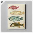 1-55_Louis-Renard_canvas