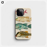 Moluccan Fishes
 - ルイ ルナール Phone Case.