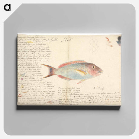 アートパネル-Harid
 - ルイージ バルガーニ Canvas.