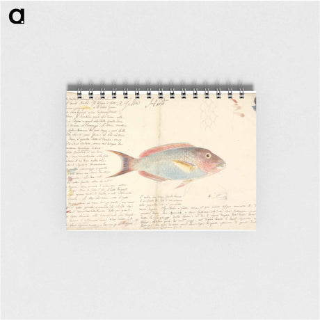 アートメモ帳-Harid
 - ルイージ バルガーニ Memo.