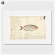 1-55_Luigi-Balugani_picture