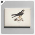 1-55_Magnus-von-Wright_canvas