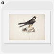 1-55_Magnus-von-Wright_picture