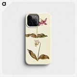1-55_Maria-Sibylla-Merian_phone