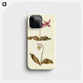 1-55_Maria-Sibylla-Merian_phone