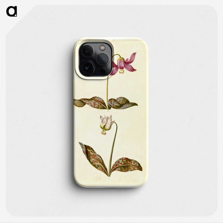 1-55_Maria-Sibylla-Merian_phone