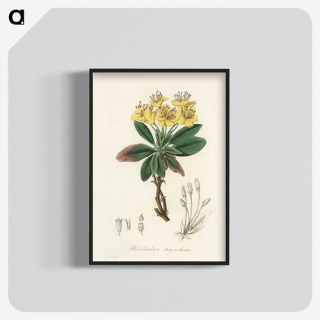 1-55_Medical-Botany_blk-crop