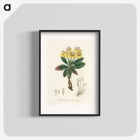 1-55_Medical-Botany_blk